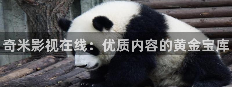 电影 大地：奇米影视在线：优质内容的黄金宝库
