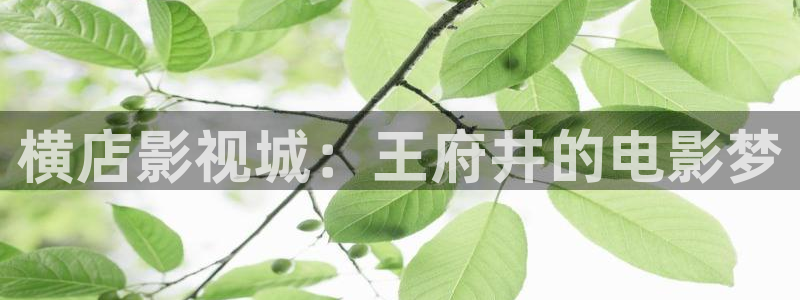 阜阳大地影院：横店影视城：王府井的电影梦
