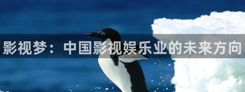 2021年大地在线视频免费观看：影视梦：中国影视娱乐业的未来方向