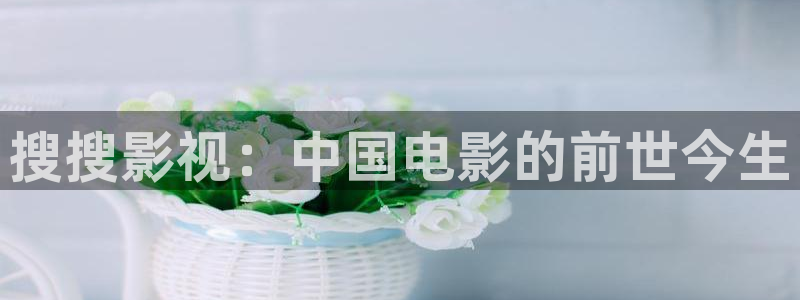 今日大地影院放映电影：搜搜影视：中国电影的前世今生