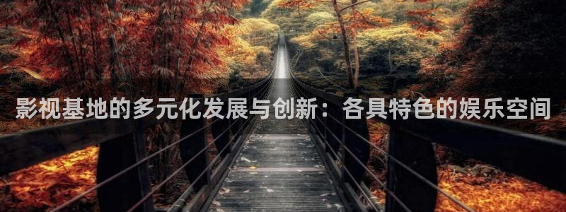 大地影视资源在线播放：影视基地的多元化发展与创新：各具特色的娱乐空间