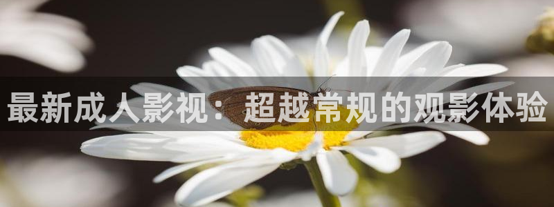 蚌埠银泰城大地影院今日影讯：最新成人影视：超越常规的观影体验
