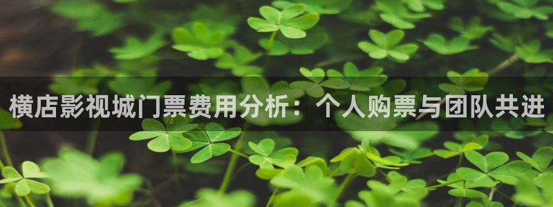 大地电影在线免费观看：横店影视城门票费用分析：个人购票与团队共进